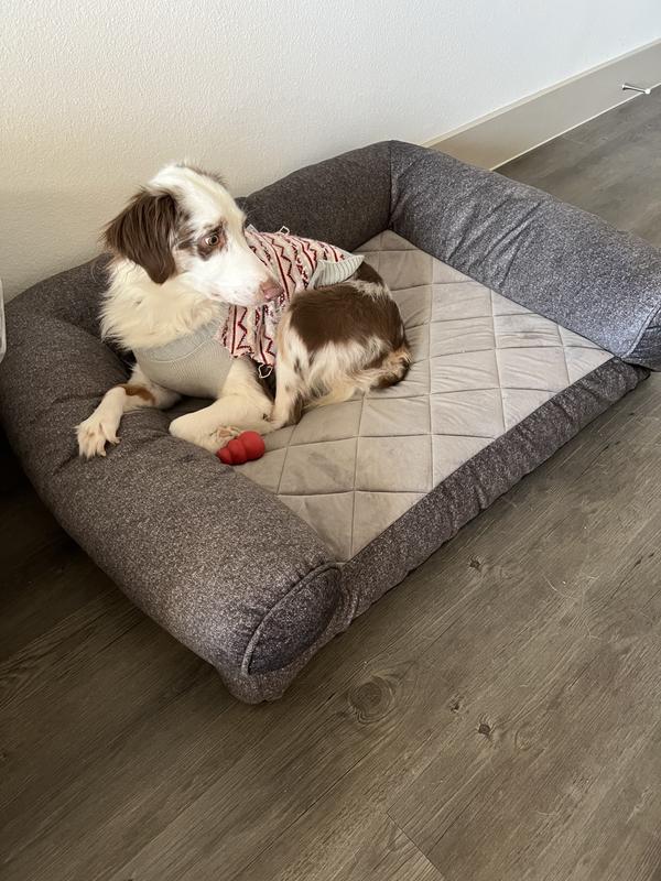 Top Dog Mom Must-Haves: Essentials for You and Your Pup cover photo collage