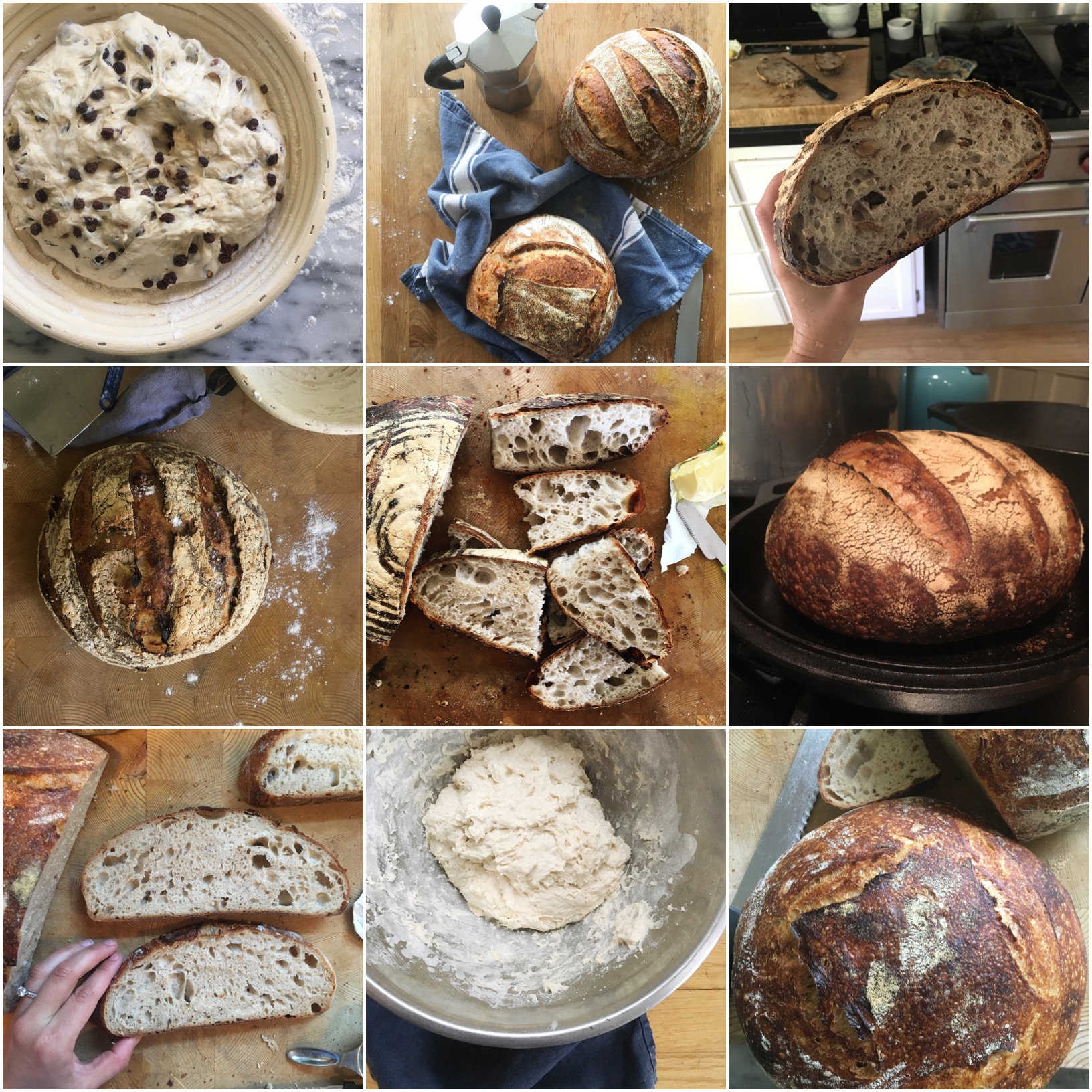 Sourdough Recipes in our Weekly Lineup cover photo collage