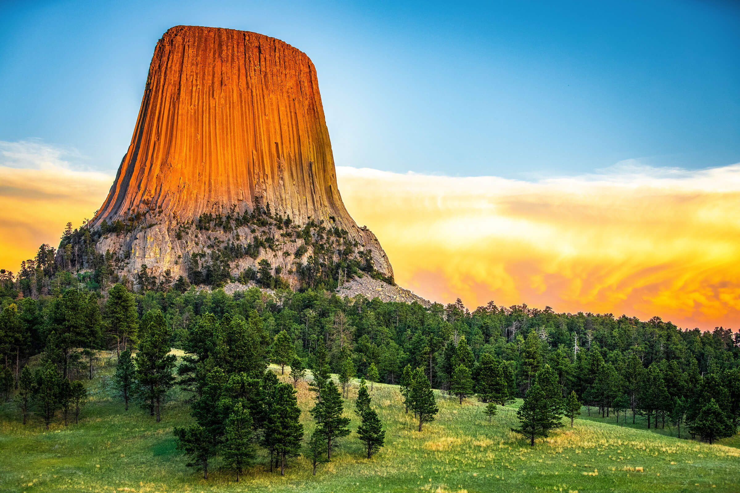 Black Hills cover photo collage