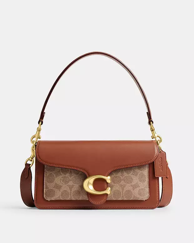 The Ultimate Bag List👜👛 cover photo collage