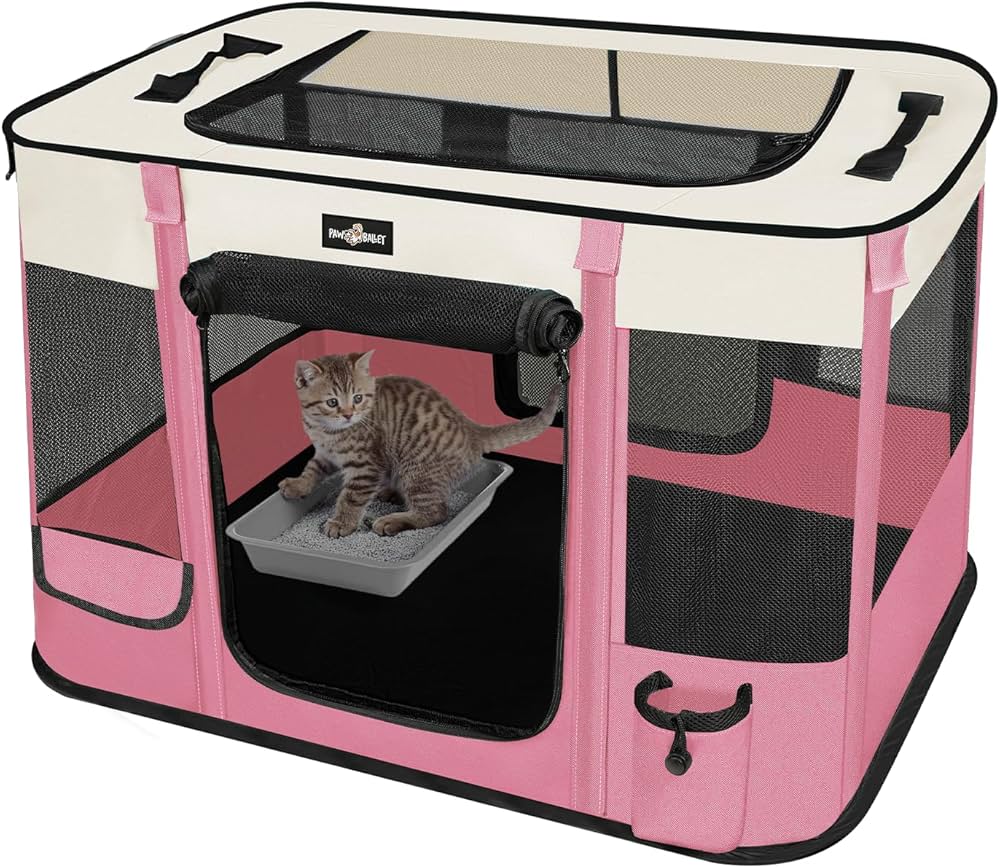 Cat Products for our new rescue kitten, Smokey! cover photo collage