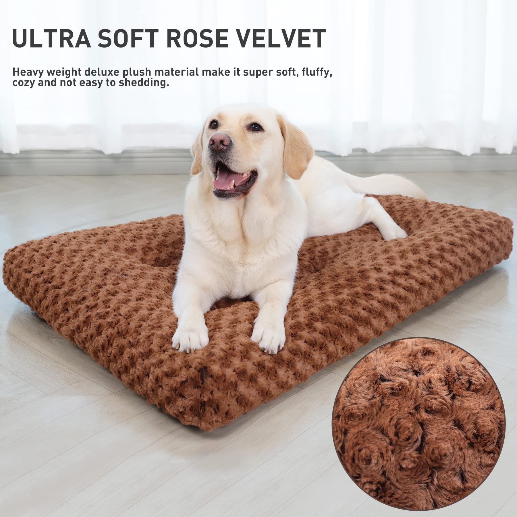 Dog recommendations, especially durable ones! cover photo collage