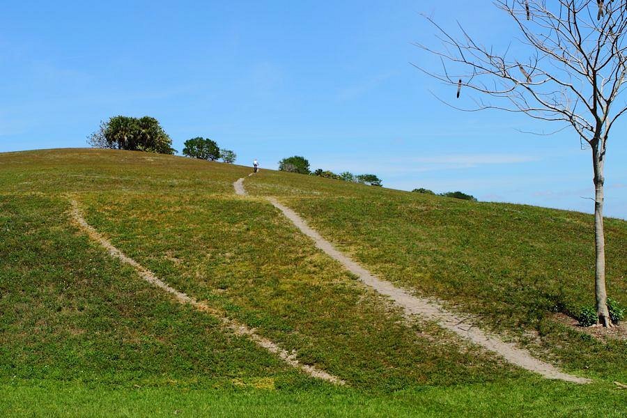 Things to do in the Pines cover photo collage