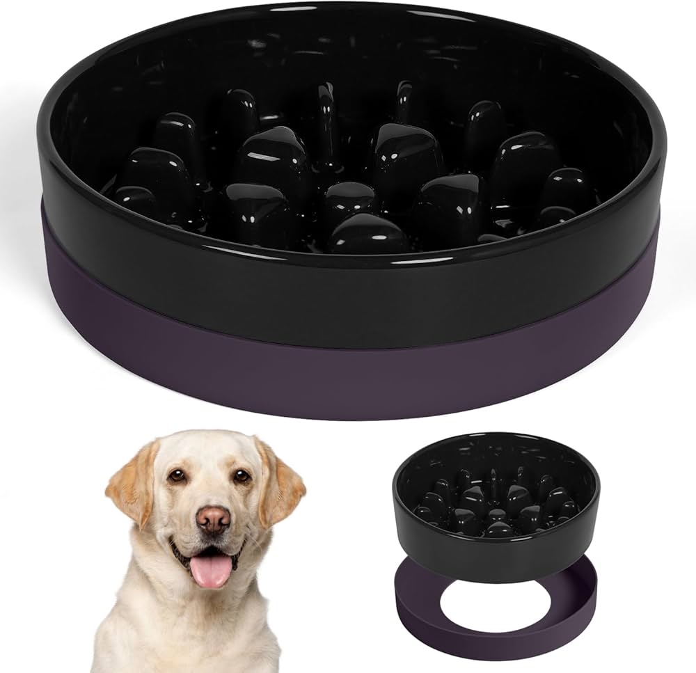 Dog Must Haves! cover photo collage