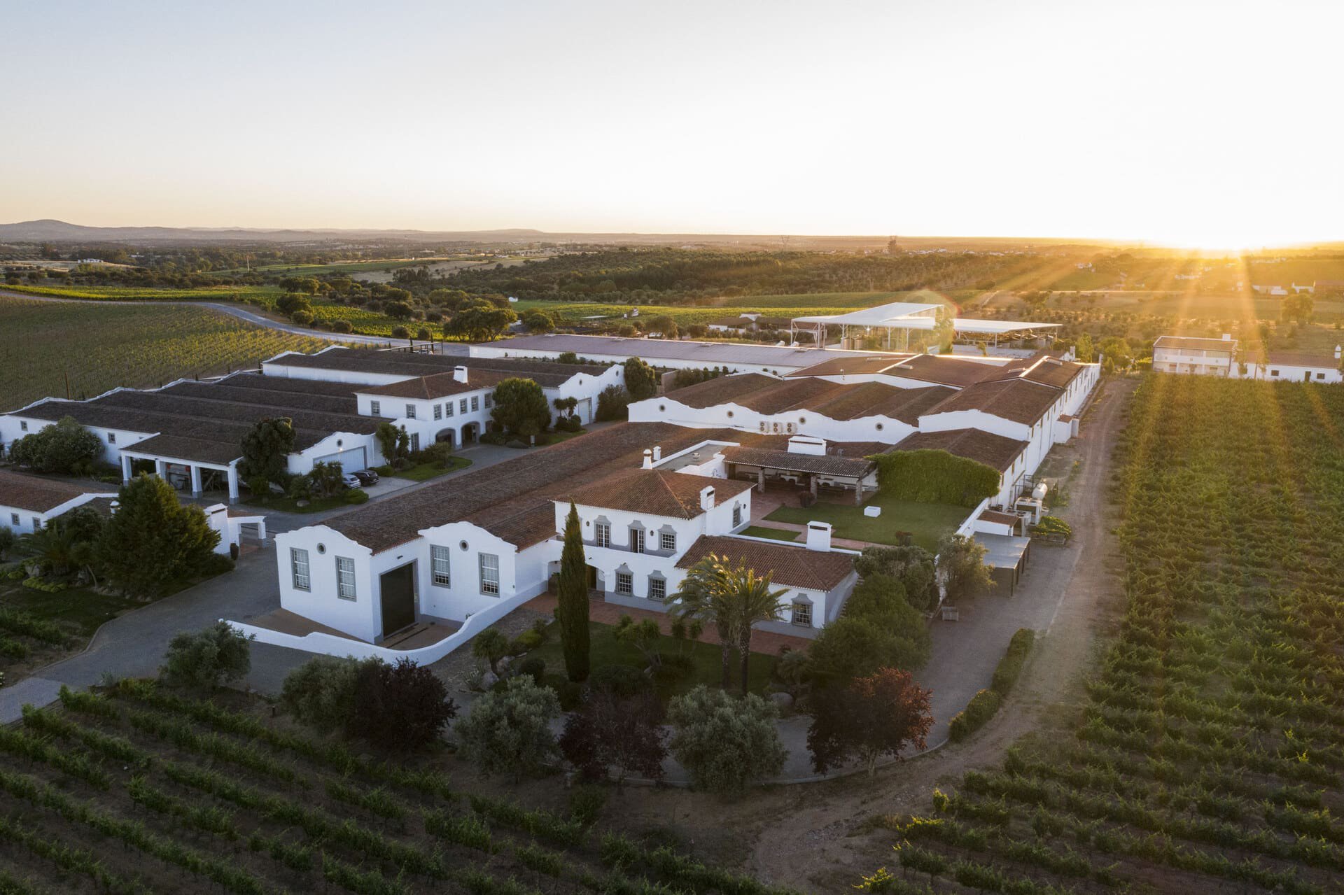 Winery Must Visits in Alentejo, Portugal! cover photo collage