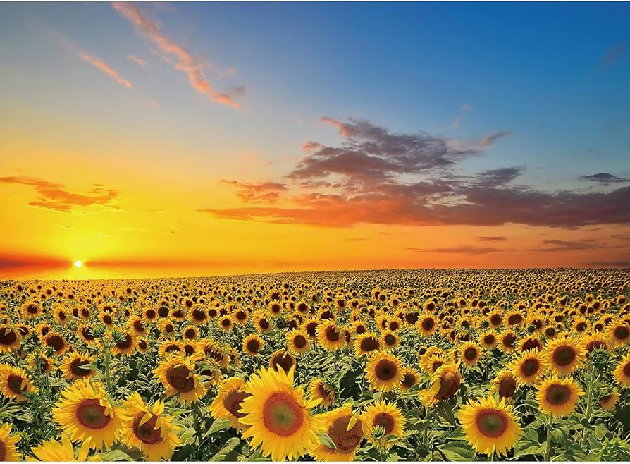 Little things that bring great joy! cover photo collage