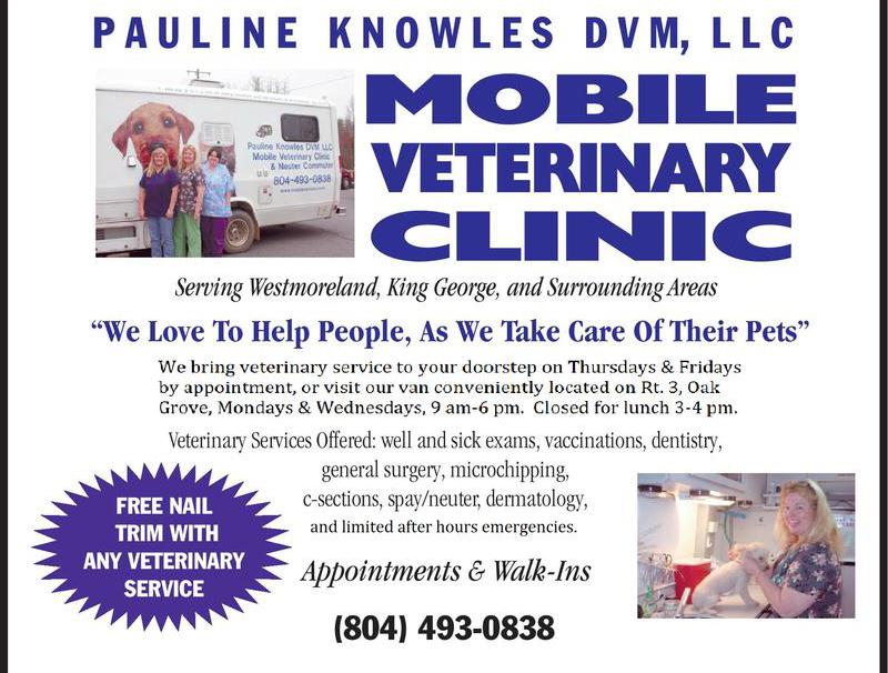 support virginia's small town businesses | NNK VA go to's! cover photo collage