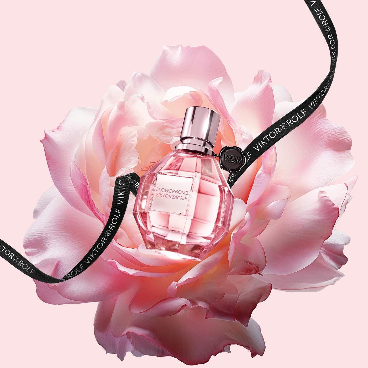 smell like heaven with these fragances <3 cover photo collage