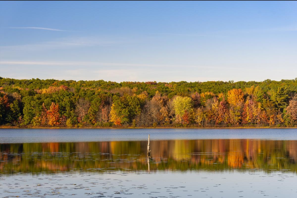 Crunchy Things To Do | Grand Rapids, MI cover photo collage
