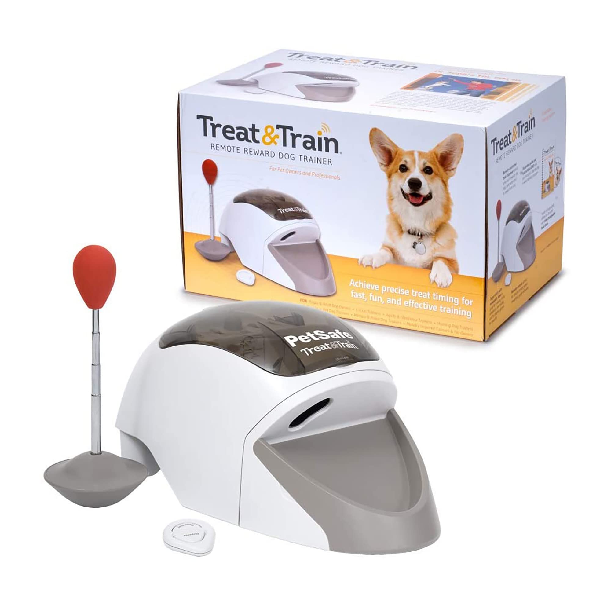 Dog Training Equipment cover photo collage