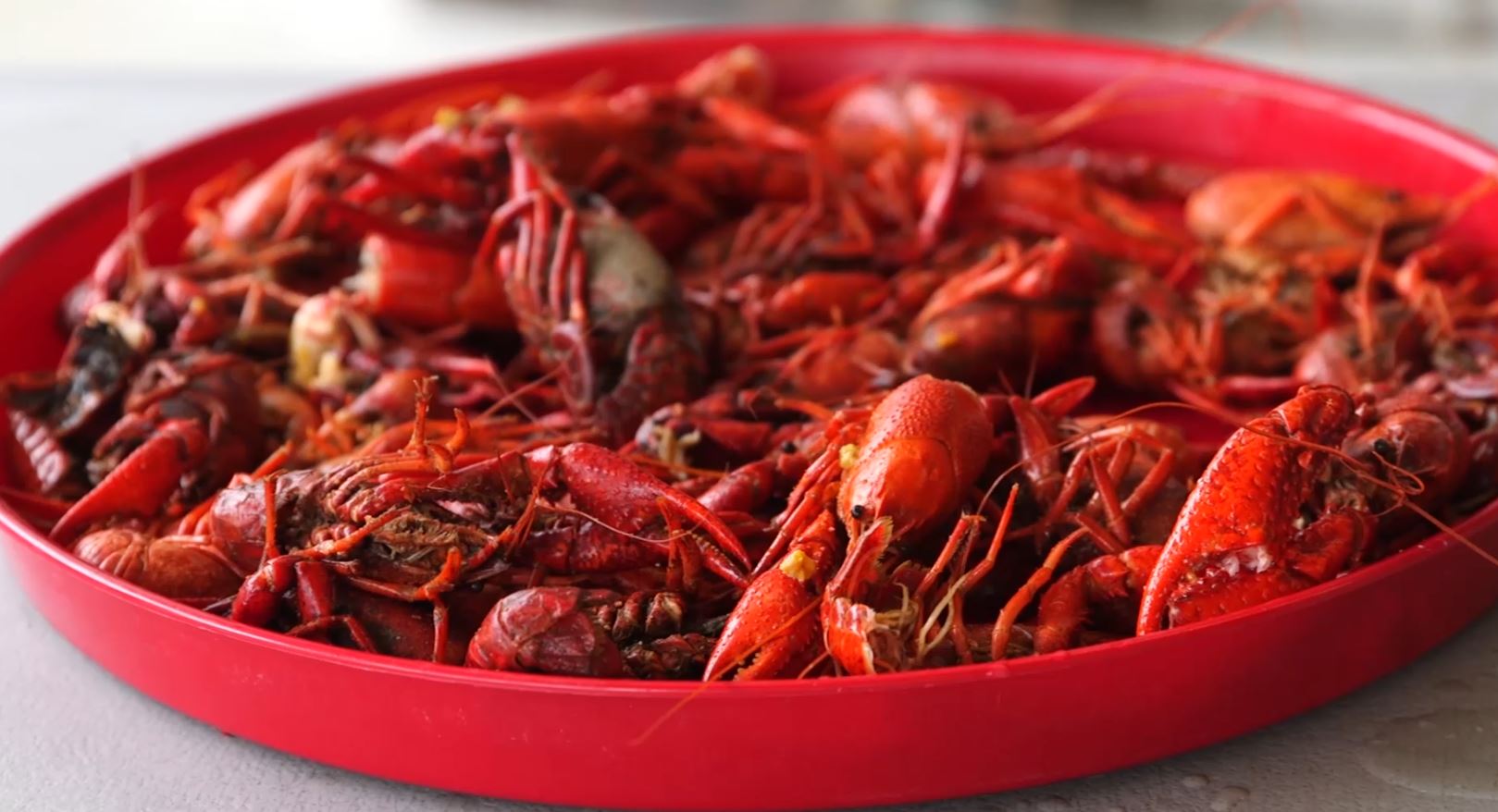 My Louisiana Favorites cover photo collage