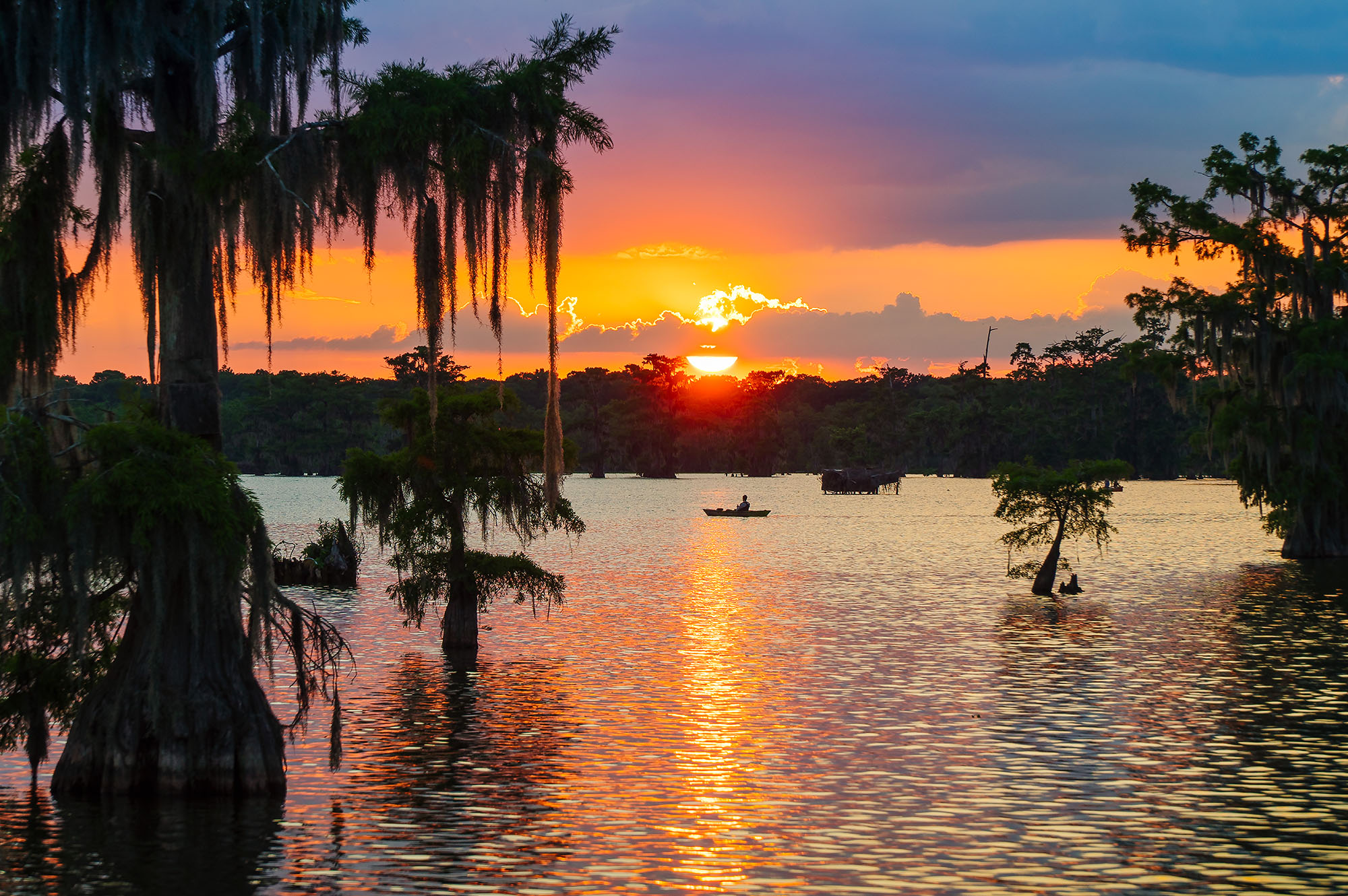 Louisiana - The Swamp State cover photo collage