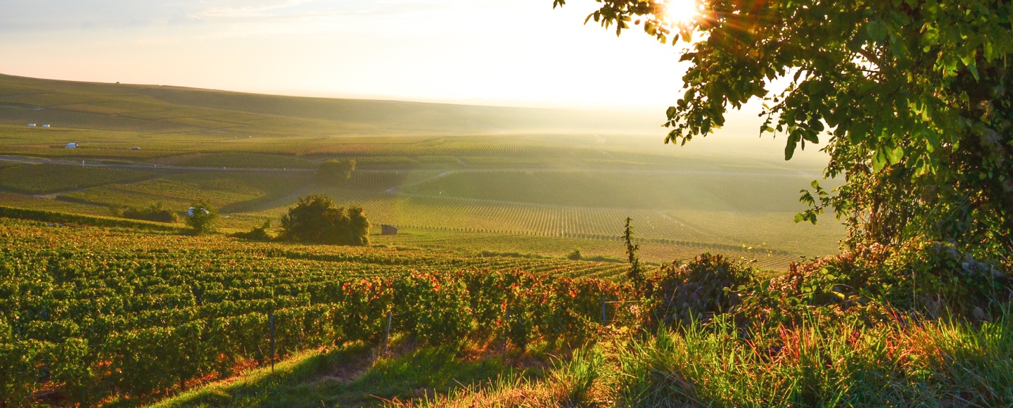 How to Spend A Perfect Weekend in Champagne cover photo collage