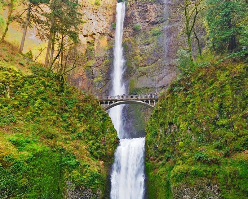 What to do in Portland, Oregon 🌲 cover photo collage