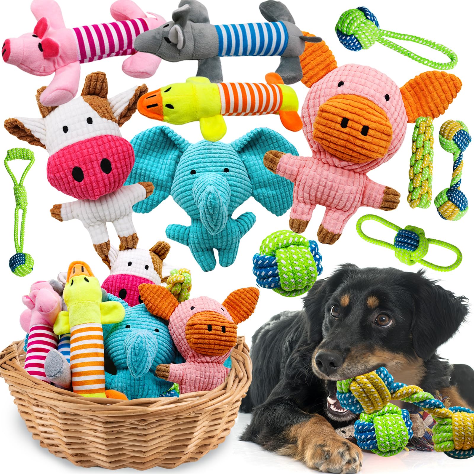 Puppy Love - All The Things You Need For Your New Dog! cover photo collage