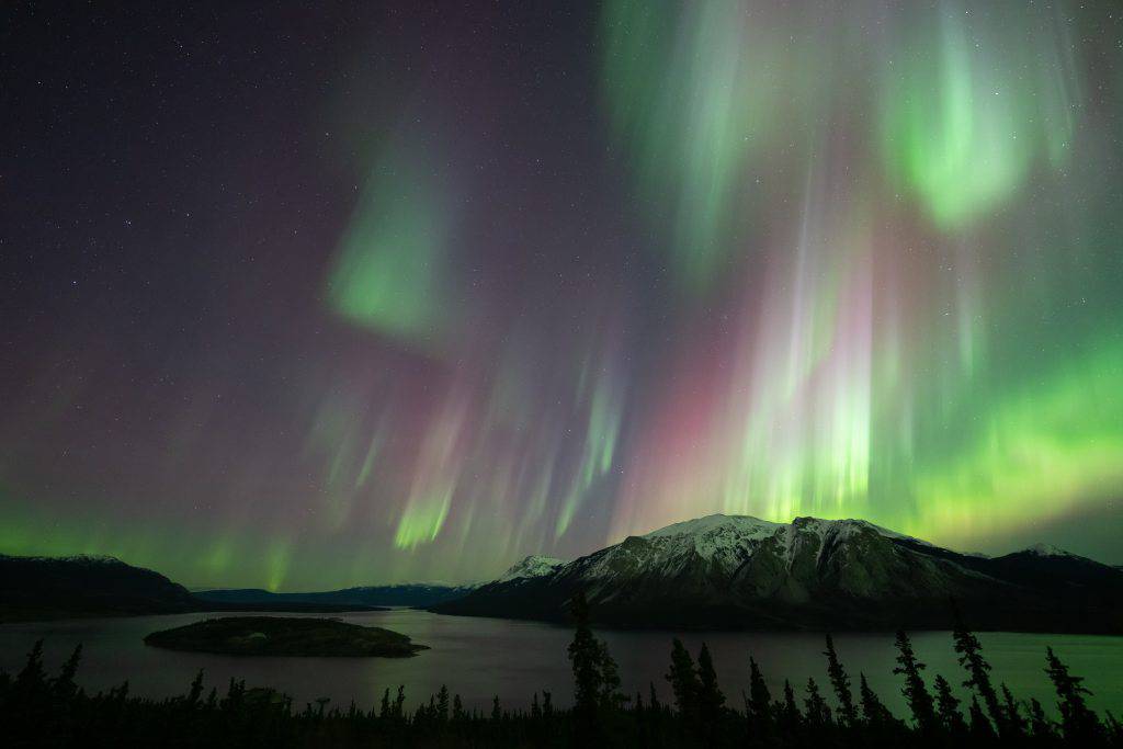 Whitehorse is the Best place in Canada I've Visited cover photo collage