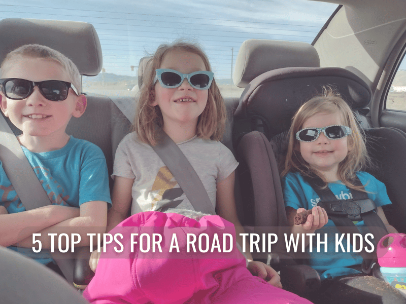Road Trips with Kids: How to Thrive - not just Survive cover photo collage