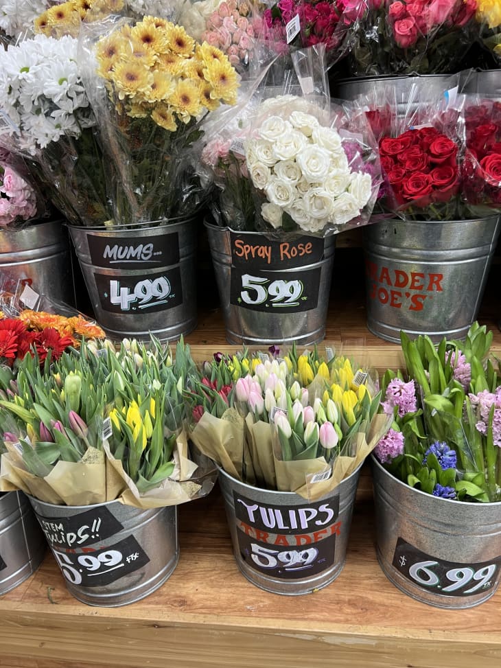 All Things Spring: A Celebration of Fresh Beginnings & Vibrant Blooms cover photo collage
