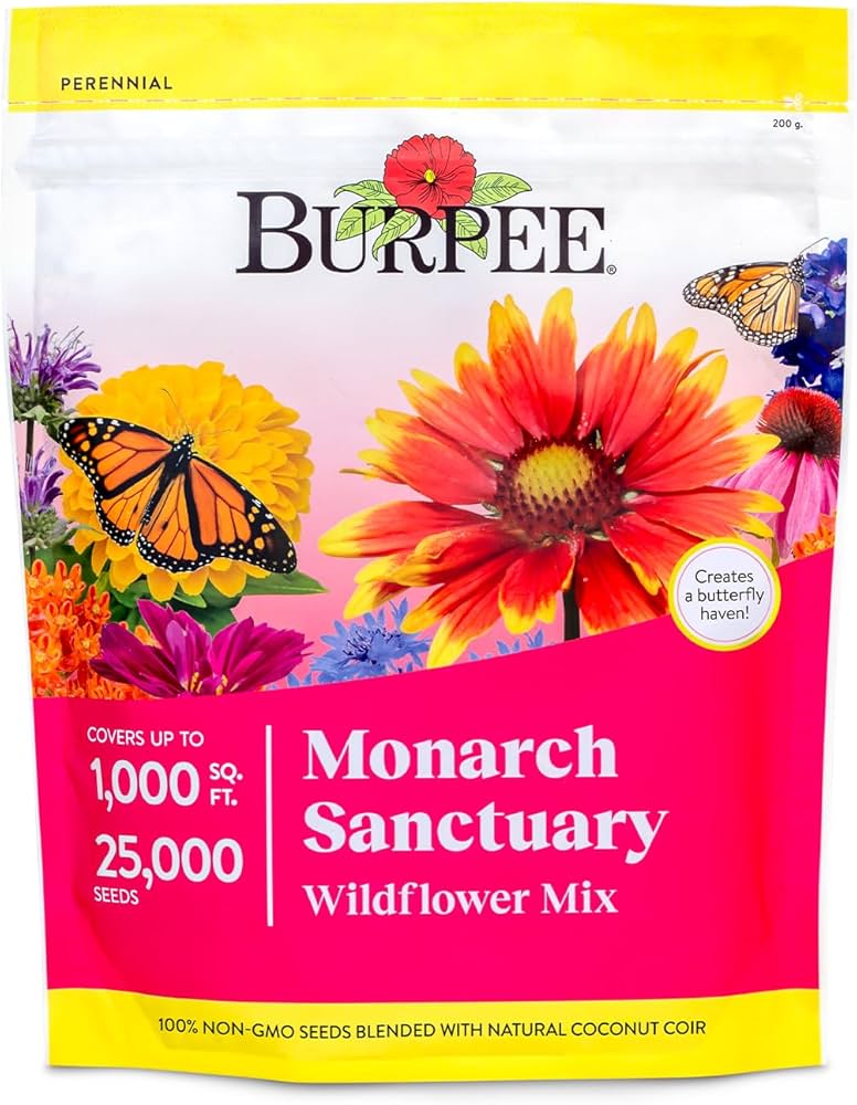 Creating a Butterfly Garden this Spring cover photo collage