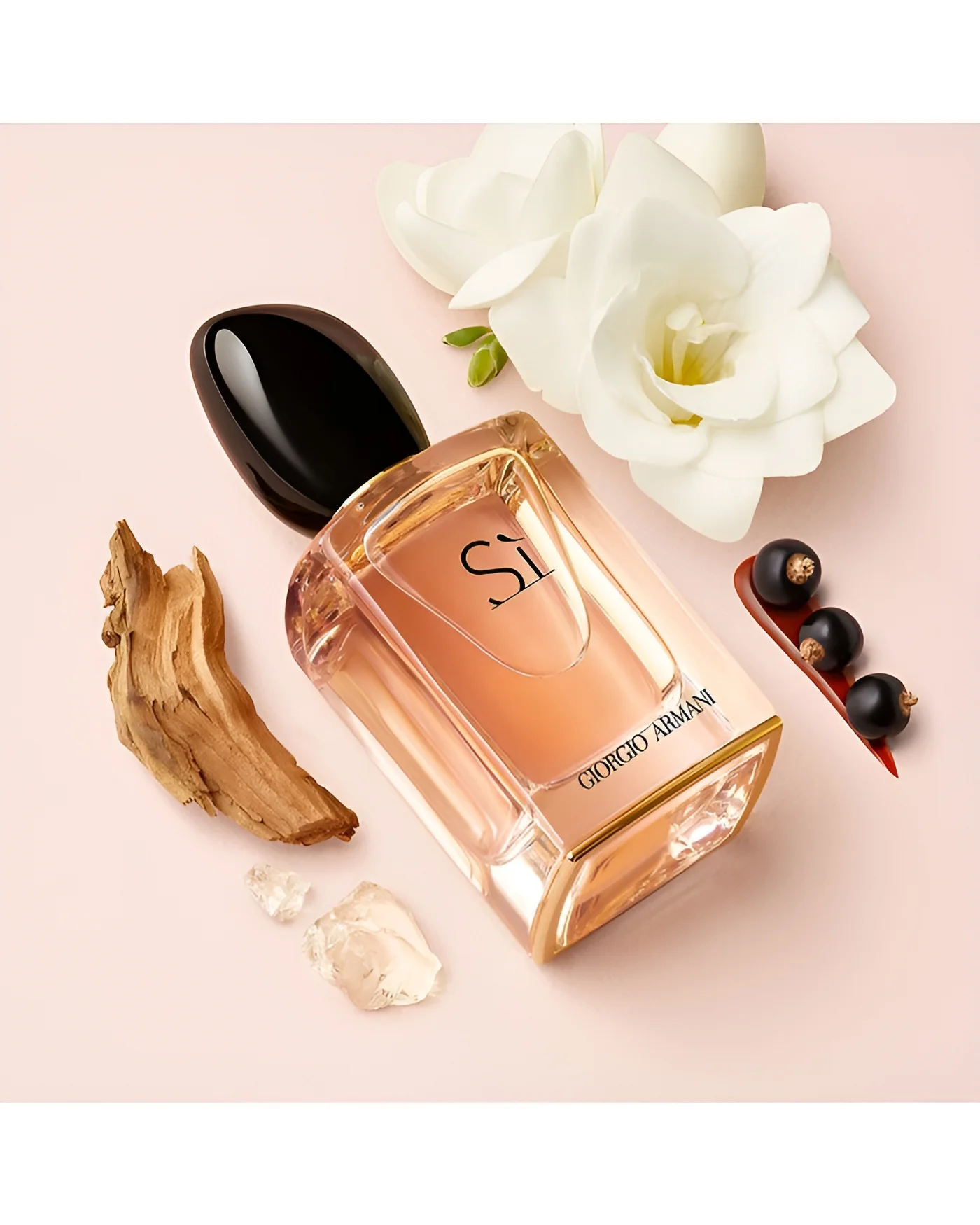 Favourite Scents Of All Time✨ cover photo collage