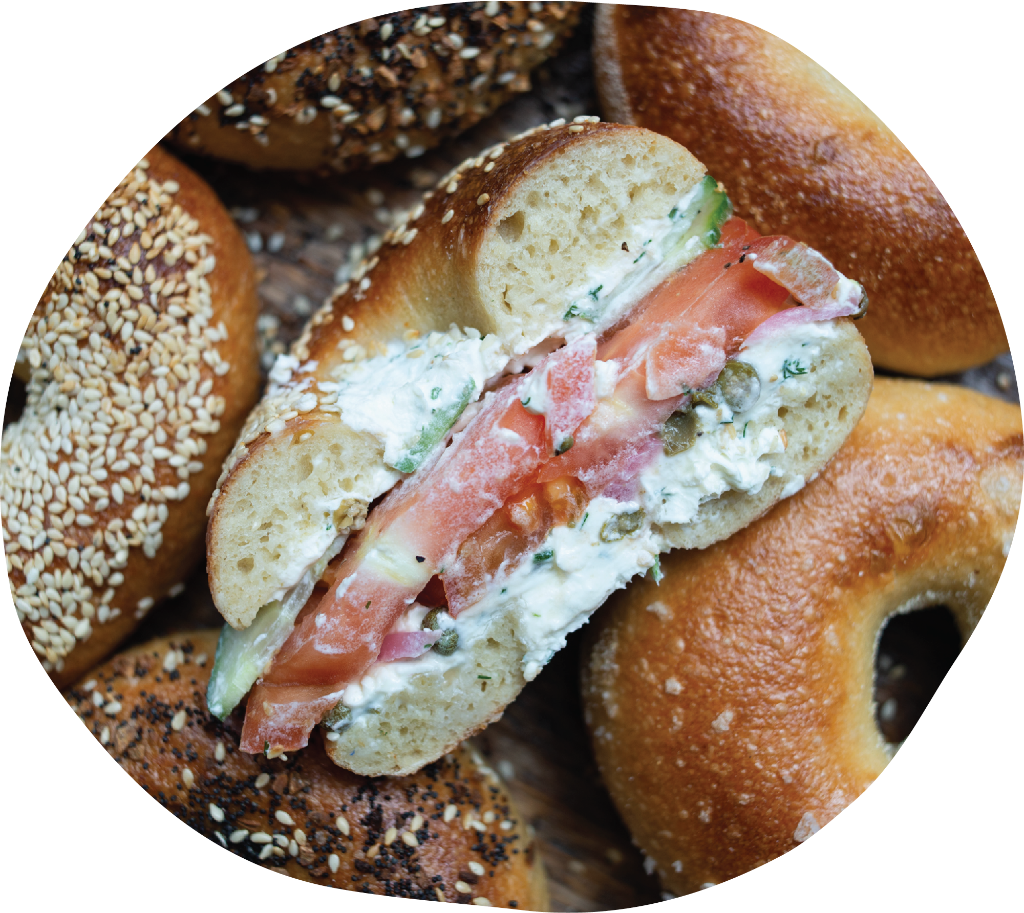 Maine: Where to find the Best Bagels cover photo collage