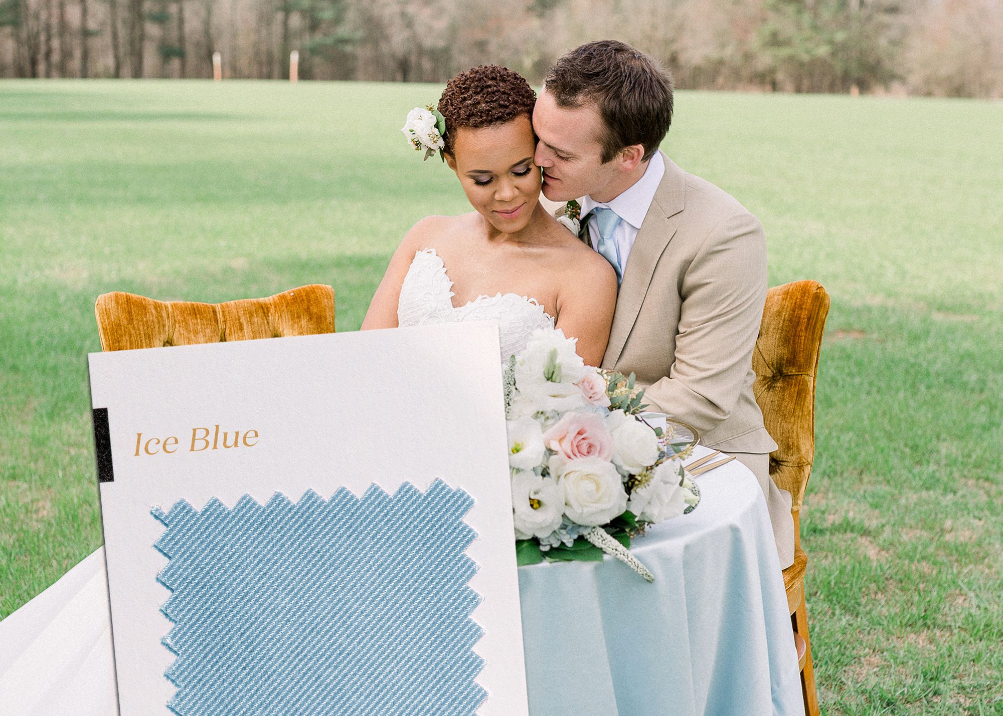 Website to order FREE Swatches for dresses & Tux From Website to order FREE Swatches for dresses & Tux From