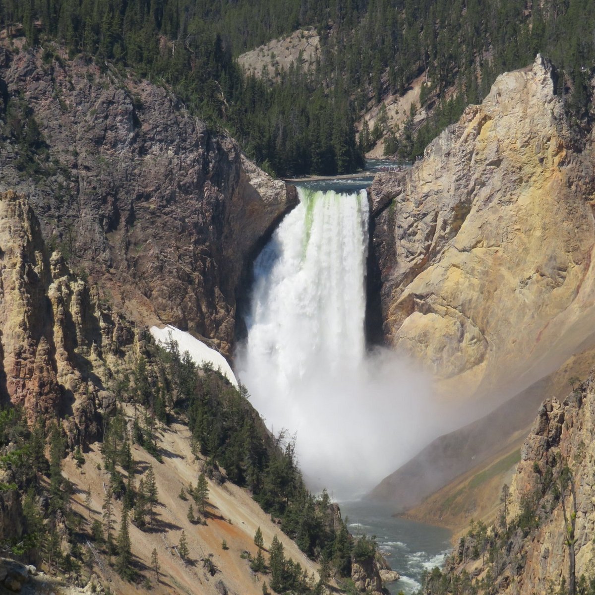 Things to do when visiting Yellowstone National Park cover photo collage