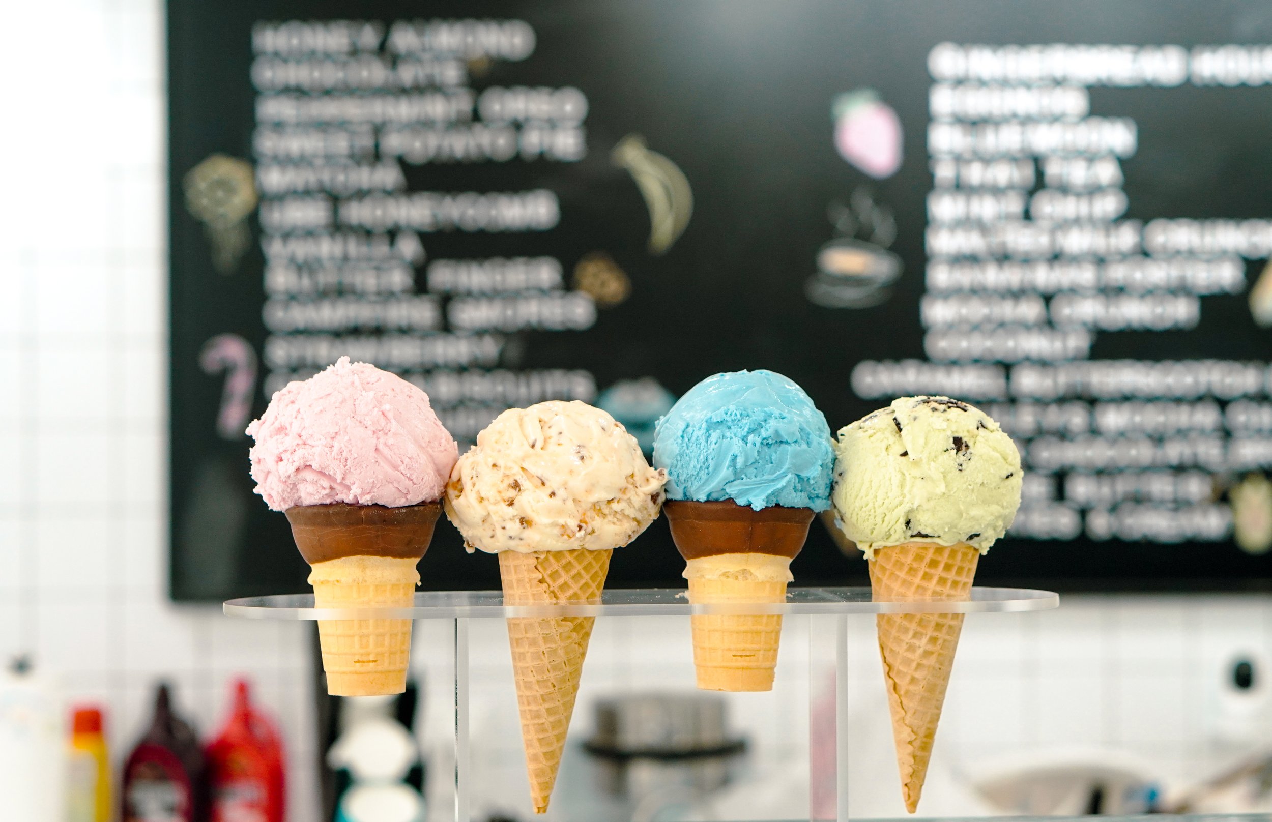 Spring in Spokane🪻 cover photo collage