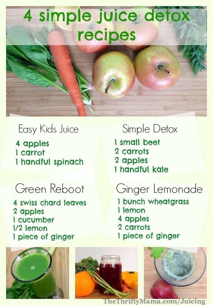 Ways to Holistically Improve Gut Health cover photo collage