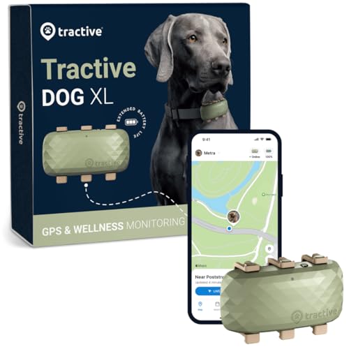 dog products id continue to repurchase cover photo collage