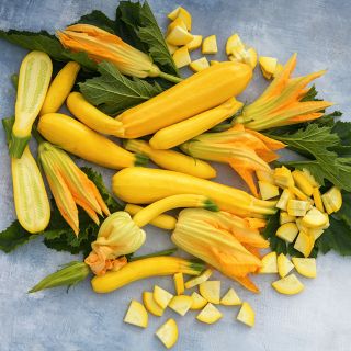 Fascinating Fruits and Veggies That You Have Got to Grow! 🍎🫑🥕🍆 cover photo collage