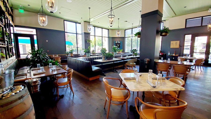 Live Like Locals Savannah cover photo collage