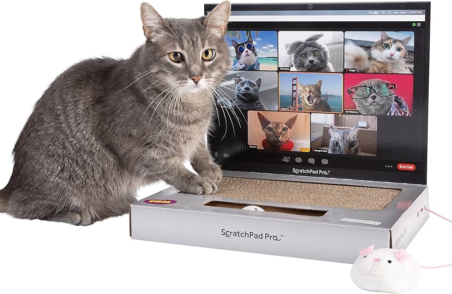 Cat Must Haves - Best Products for Happy Kitties cover photo collage