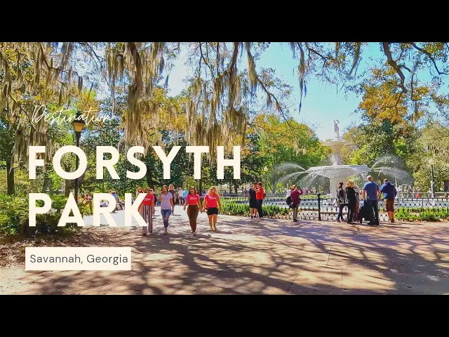 Savannah's Historic District: Places and Finds cover photo collage