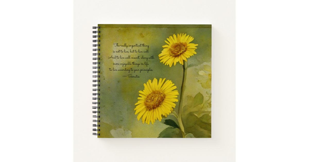Inspirational Journals Notebooks Planners cover photo collage