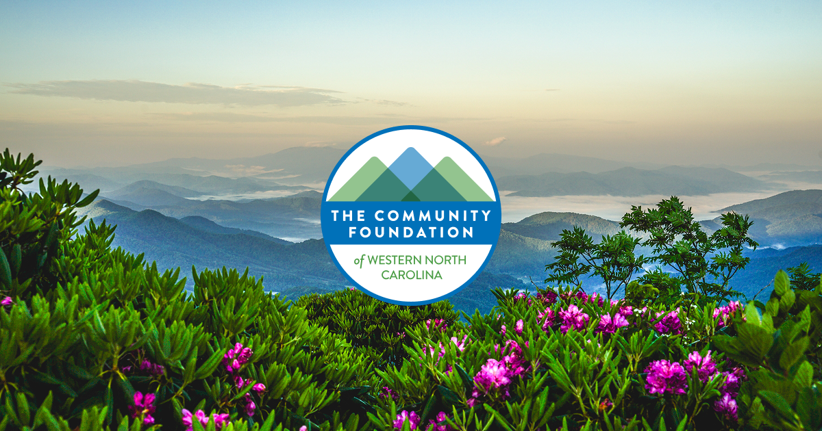 Giving Back in WNC and Beyond | Local & Global Causes to Support cover photo collage