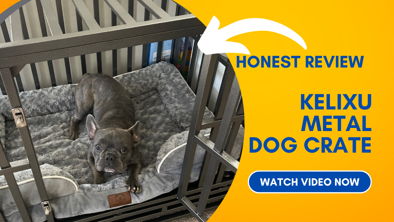 My Must-Have Dog Essentials: Favorite Finds for a Happy & Healthy Pup 🐶 🐾 cover photo collage