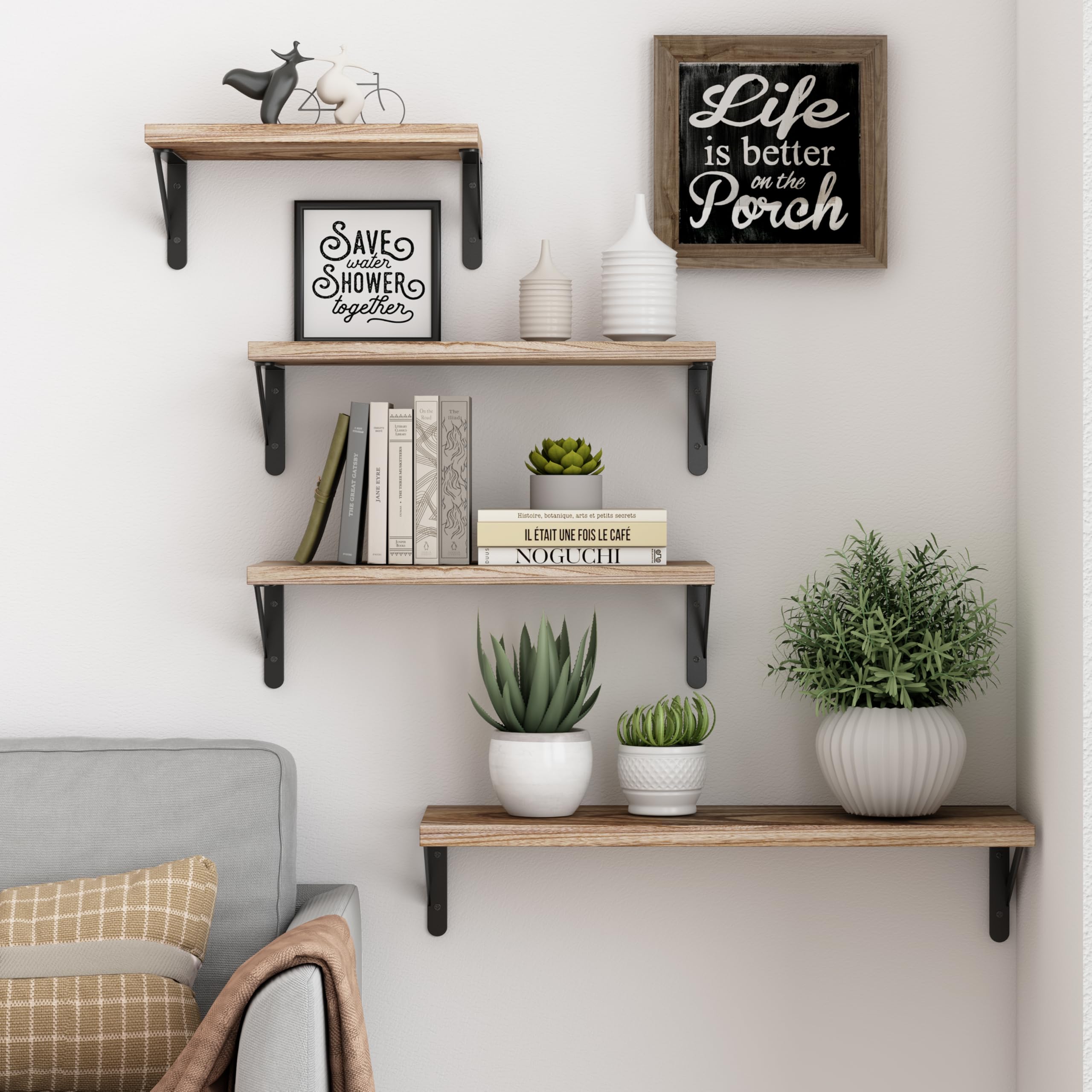 The Thriving Leaf 🌿 spoil your plants cover photo collage