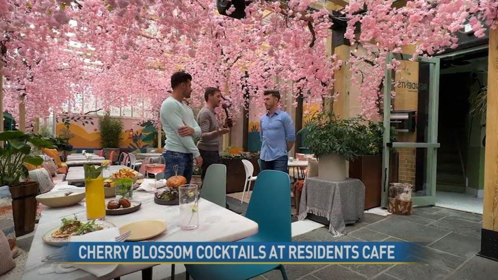 Cherry Blossoms Themed Bars & Restaurants in DC 🌸 cover photo collage