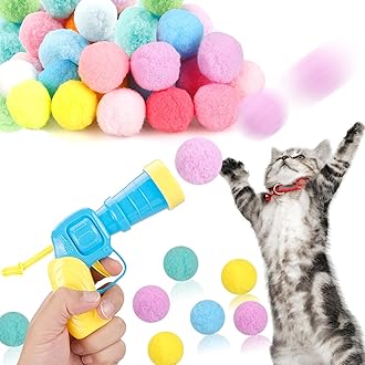 Essential Cat Care Products for New Cat Parents cover photo collage