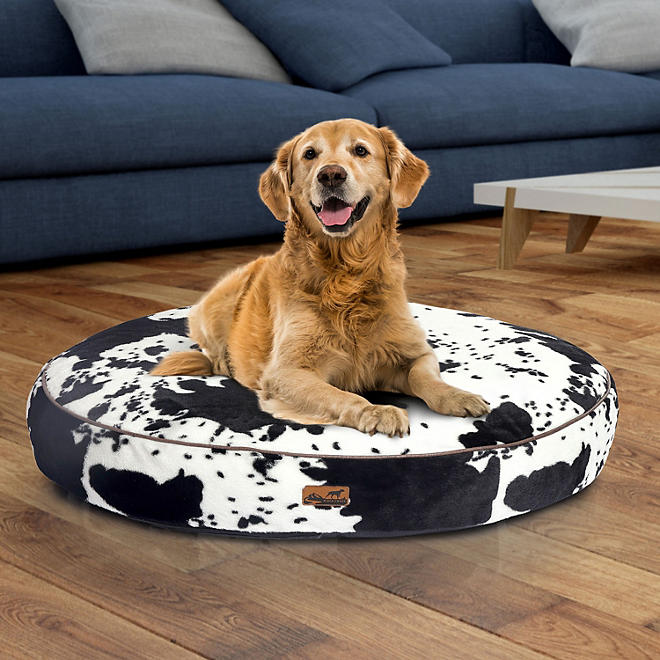 Favorite Dog Products cover photo collage
