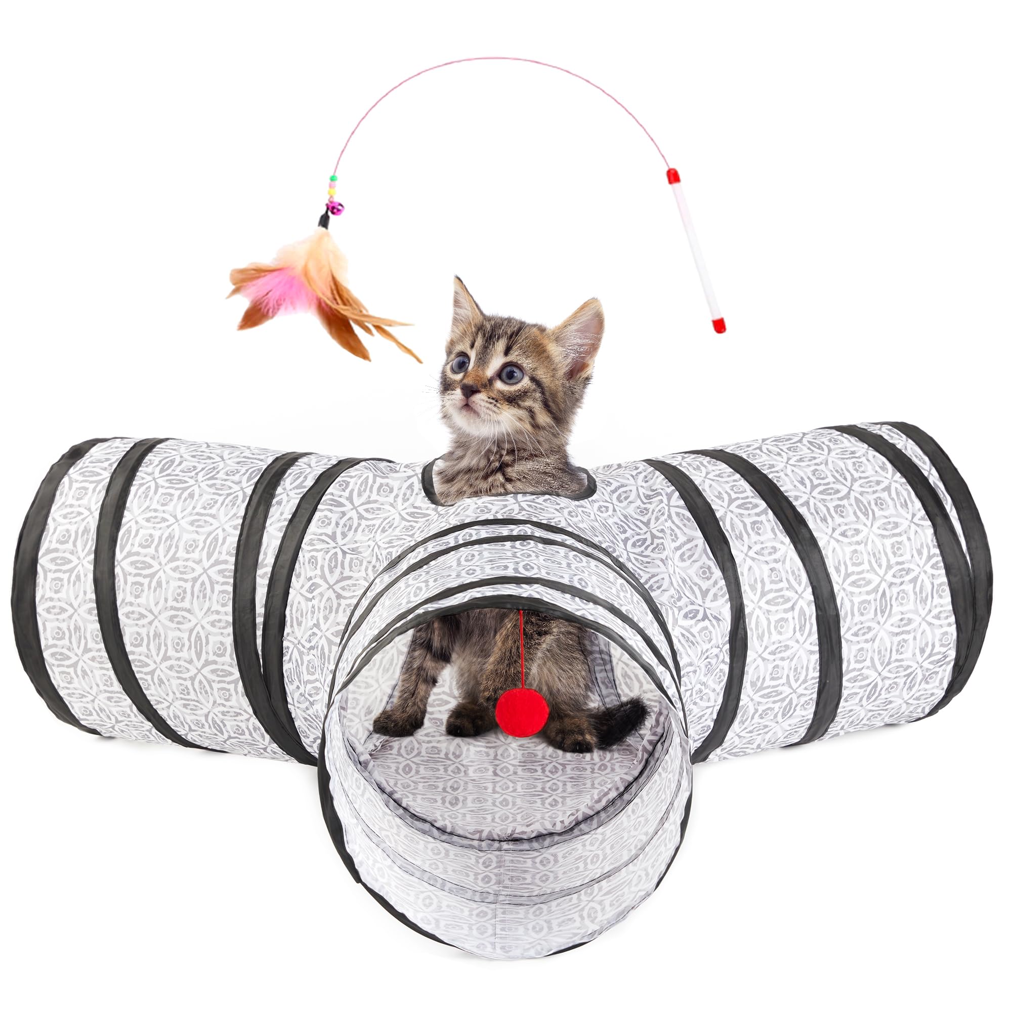 Furry Feline Friend Faves cover photo collage