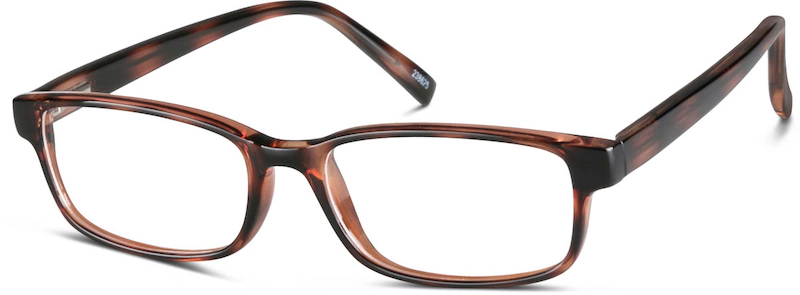 Tortoise Glasses