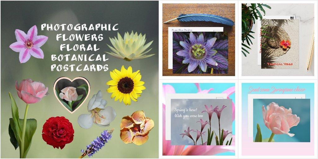 Floral Postcards: Send a Bouquet through the mail cover photo collage