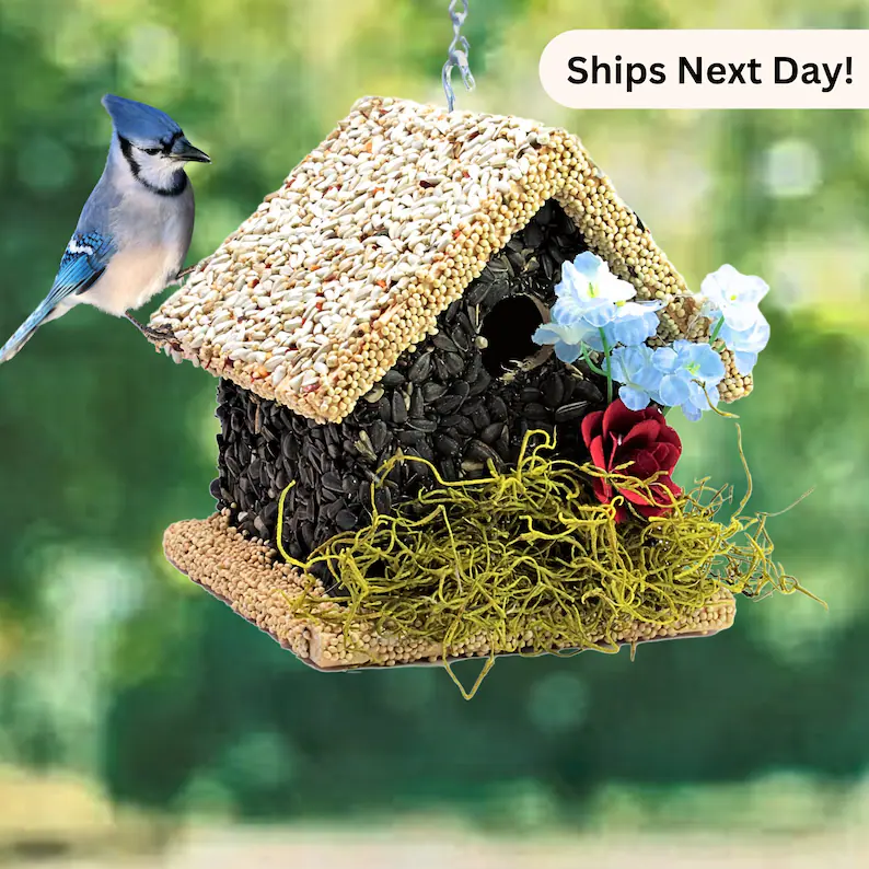 Building a Bird-Friendly Paradise for Your Feathered Friends ... and Yourself! 🐦⛲ cover photo collage