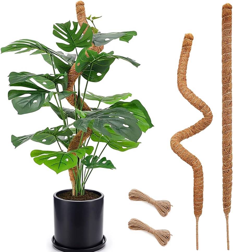 Plant necessities that will make your life so much easier cover photo collage