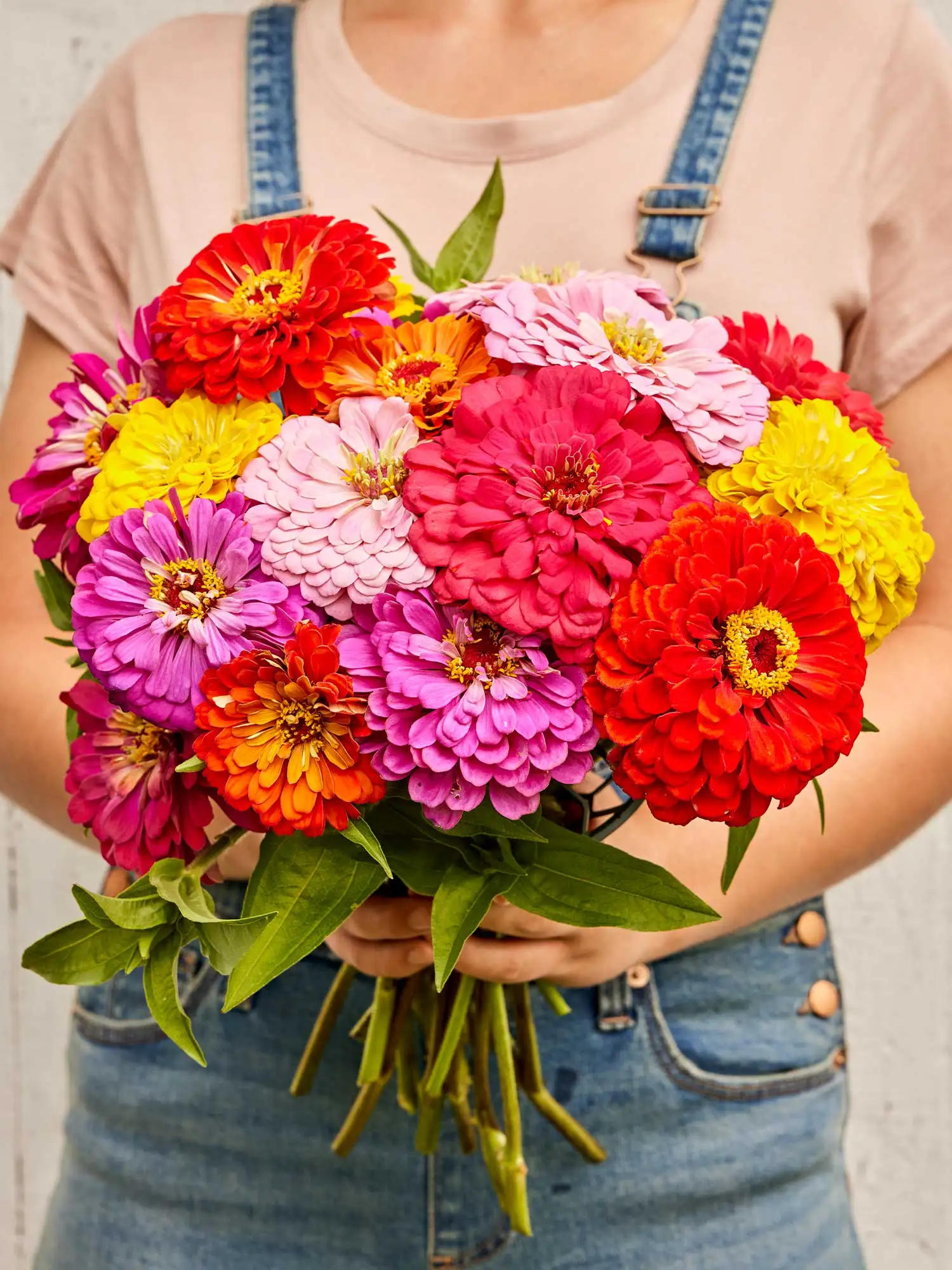 Easy to Grow Flowers for Your Yard cover photo collage