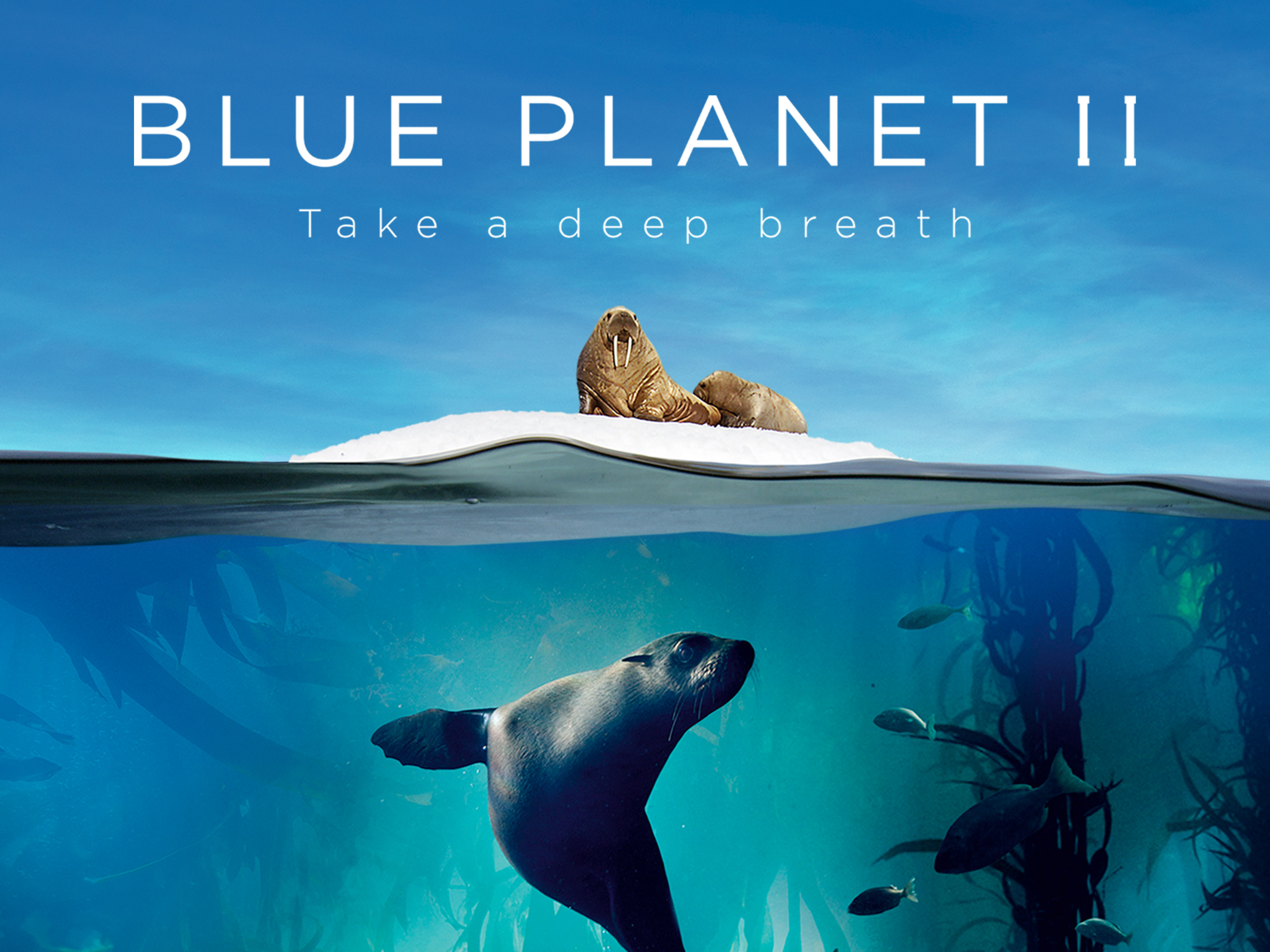 Shows That Take Me to Interesting Places, Times, and Things 📺🎥🎬 cover photo collage