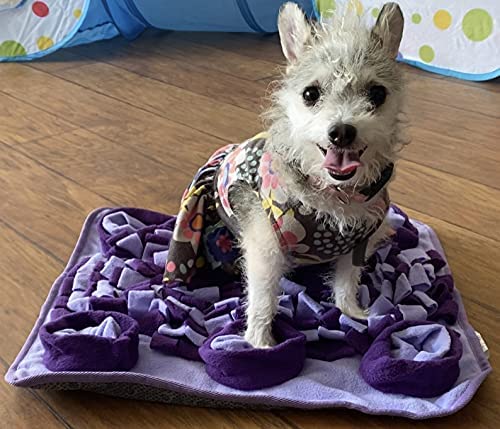 Small Dog & Puppy Favorites cover photo collage