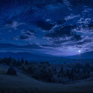 🌿 Healing Starts Here: Free Tools for Nervous System & Trauma Recovery cover photo collage